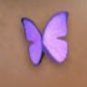 Meet your Posher, Ava